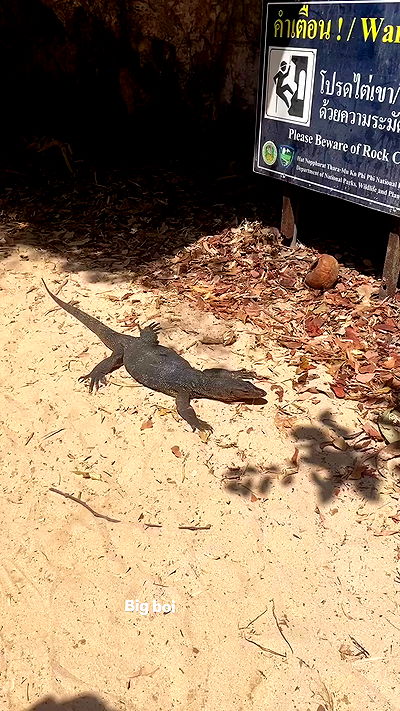 yam_adler yam_adler archive video