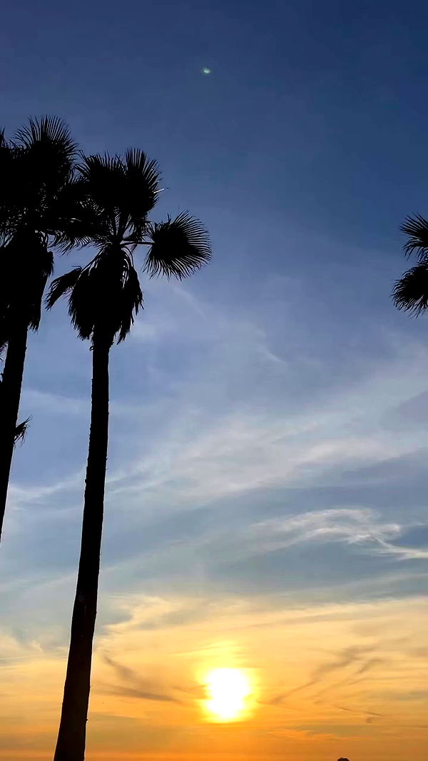 payton.r archive video preview