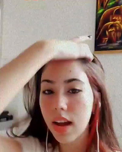 tuliprivet tuliprivet archive video