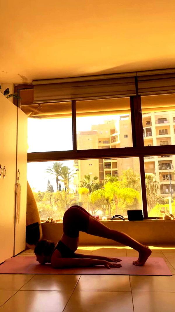 liad.arazi archive video preview