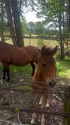 ellauk Altpins Profile Picture