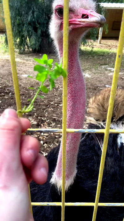 feelbetterinmysweater feelbetterinmysweater archive video