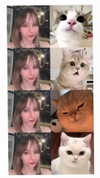 lihi.k_ Altpins Profile Picture