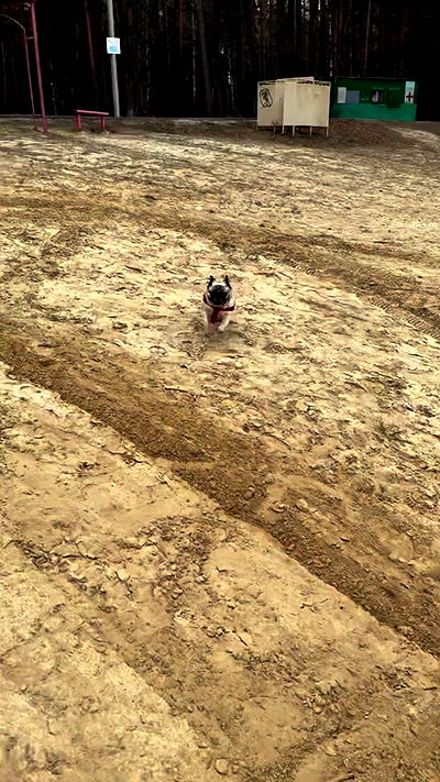 nyityam nyityam archive video