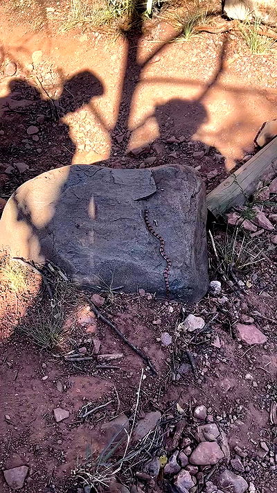 sedonaskyxo sedonaskyxo archive video