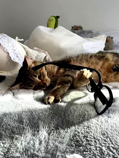 shunli__mei shunli__mei archive video