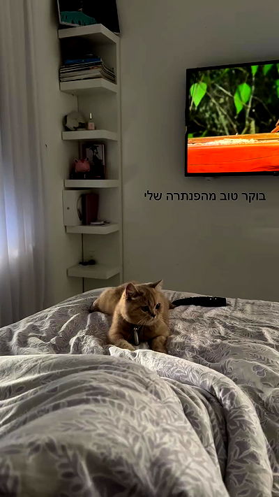 talya__edri talya__edri archive video