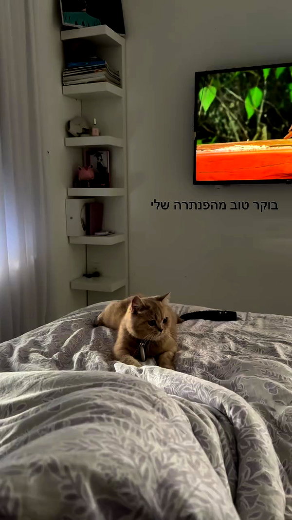 talya__edri archive video preview