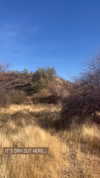 sarah.anne.dipity Altpins Profile Picture