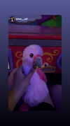 da.rk_.angel Altpins Profile Picture