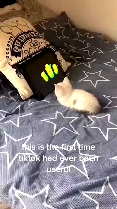 laluzone laluzone archive video