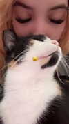 avitallllllll Altpins Profile Picture