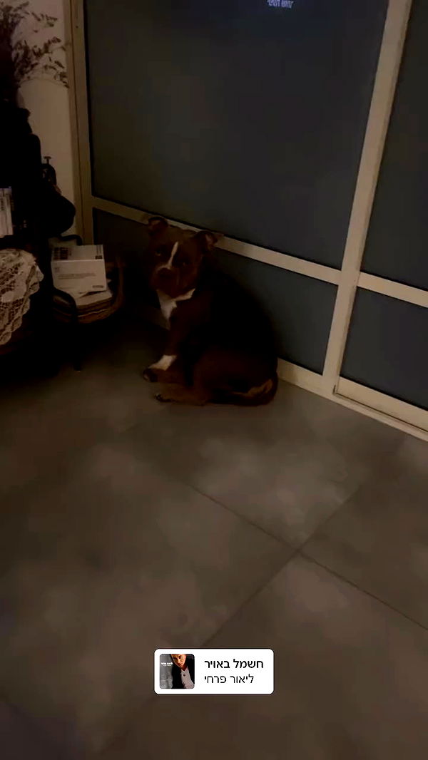 kesemgreenyer archive video preview