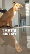 _wayw4rd_ Altpins Profile Picture