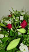orin_kahlon_ Altpins Profile Picture