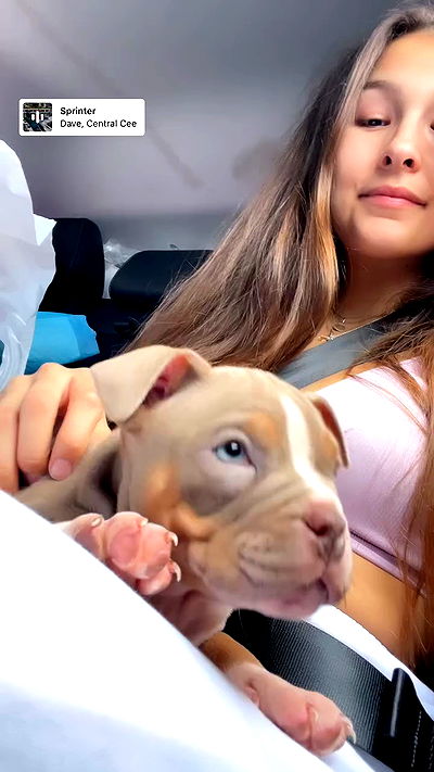 kesemgreenyer kesemgreenyer archive video