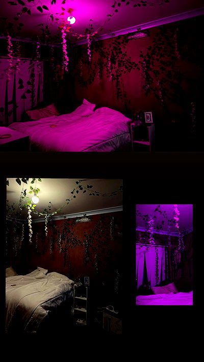 piper.jaylen piper.jaylen archive video