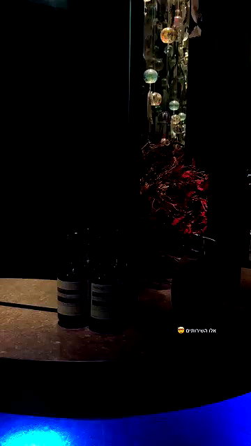 anyarodionov archive video preview