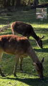 estr3iia Altpins Profile Picture