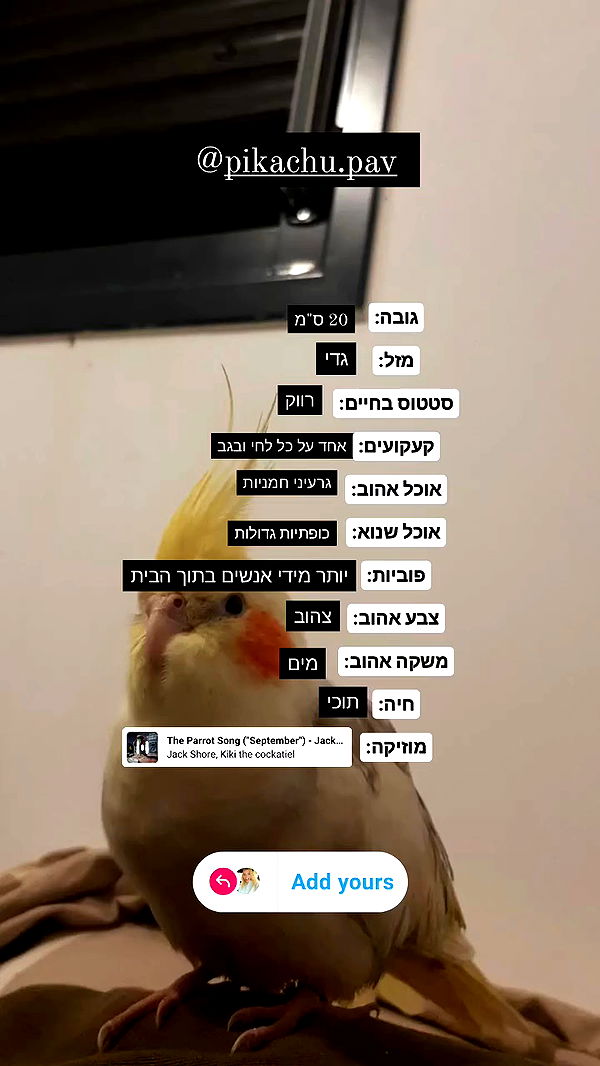 tinapavlov.sky archive video preview