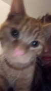 graciebwest Altpins Profile Picture