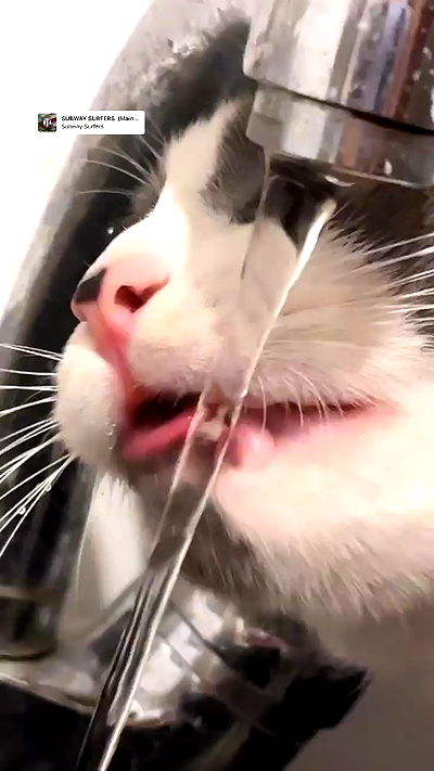 tinapavlov.sky tinapavlov.sky archive video