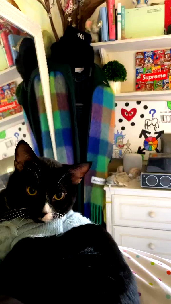 sydney_melman archive video preview