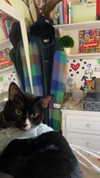 sydney_melman Altpins Profile Picture