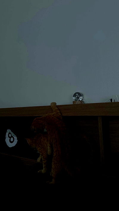 oqr0_ oqr0_ archive video