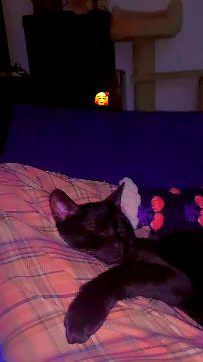 feelbetterinmysweater feelbetterinmysweater archive video