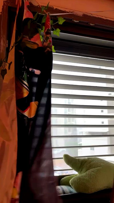 natalllluli natalllluli archive video