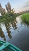 _anastasiaxxq_ Altpins Profile Picture