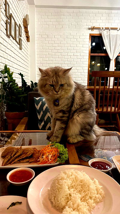 oqr0_ oqr0_ archive video