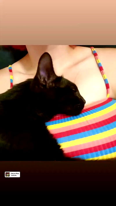 shayli_or shayli_or archive video