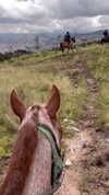 romy.benshushan Altpins Profile Picture