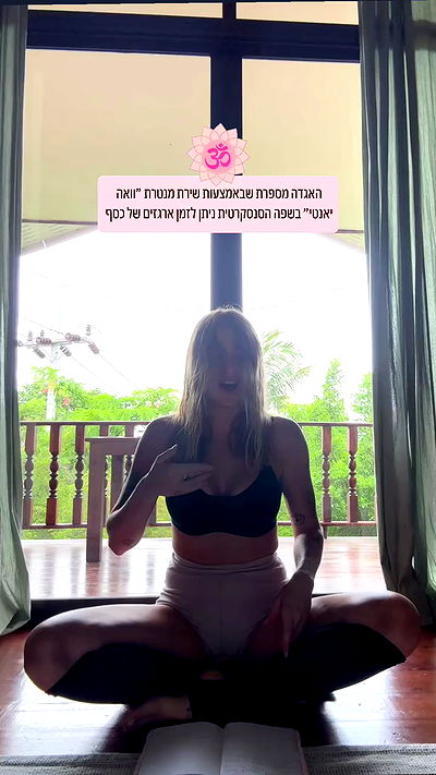 iambohema.v2 iambohema.v2 archive video