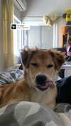 amyeett Altpins Profile Picture