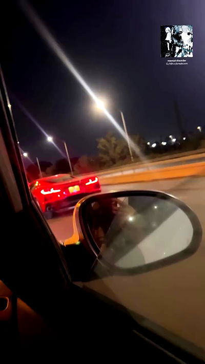 simp_for_cats_ simp_for_cats_ archive video