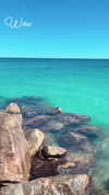 eloise_wensley Altpins Profile Picture