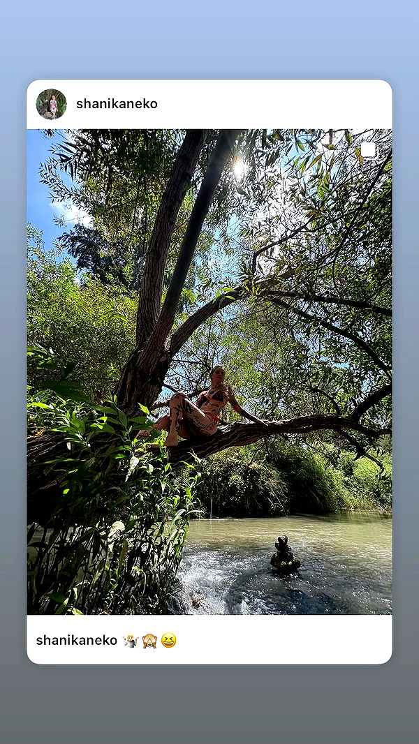 shanikaneko archive video preview