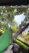 danchiii6403__ Altpins Profile Picture