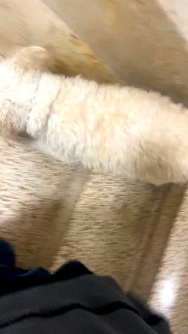 feelbetterinmysweater archive video preview