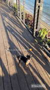jenny.kaly Altpins Profile Picture