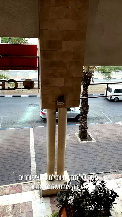 natalllluli natalllluli archive video