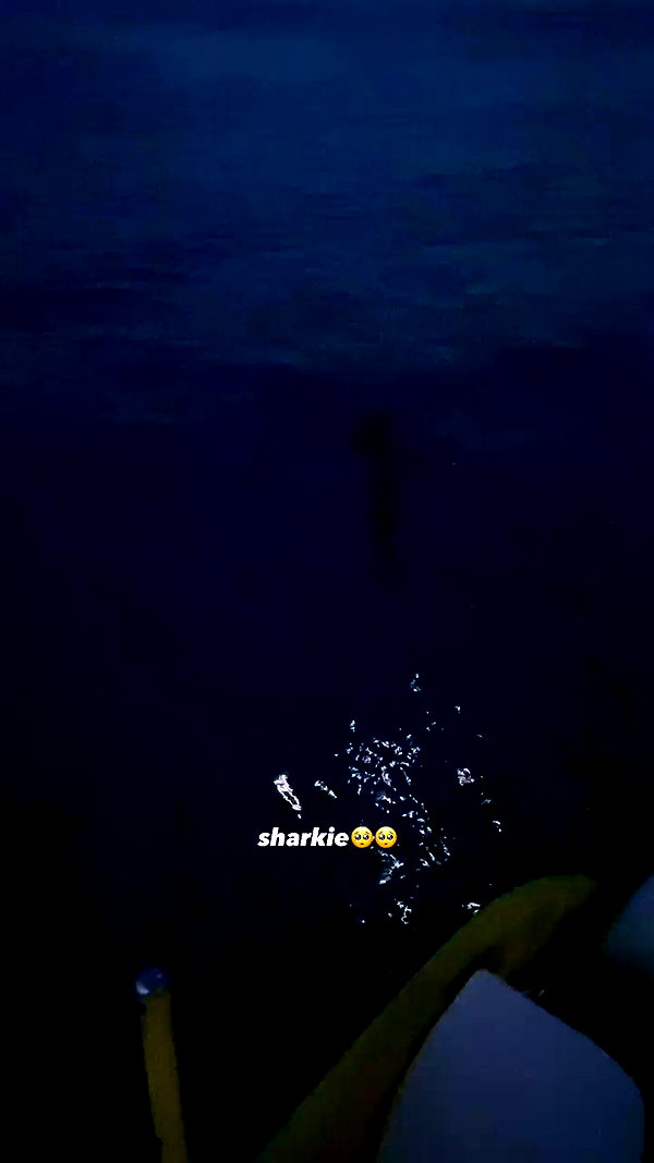 oliviaspasojevic archive video preview