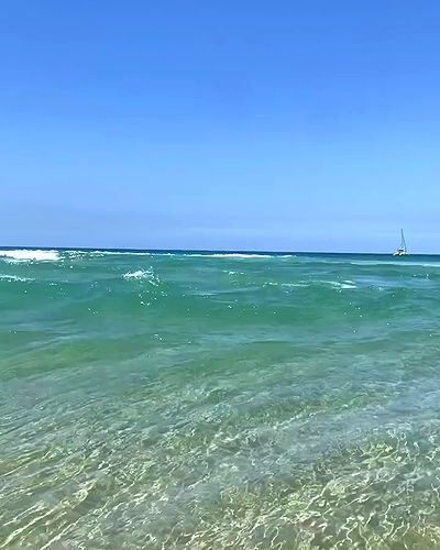 yam_adler yam_adler archive video