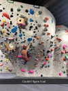 cclaire.bbear1 Altpins Profile Picture