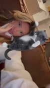 syd.shmitty Altpins Profile Picture