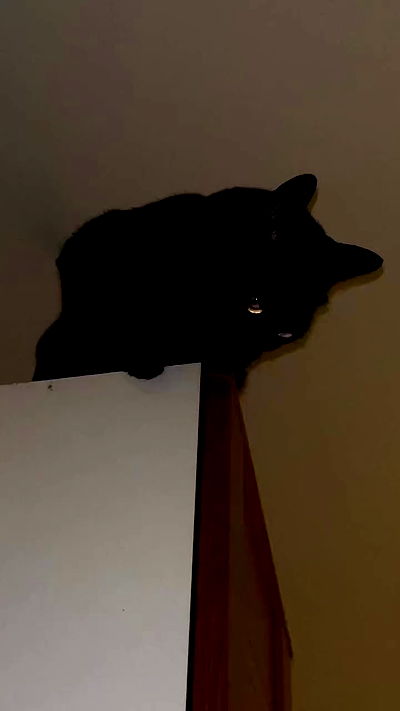 feelbetterinmysweater feelbetterinmysweater archive video