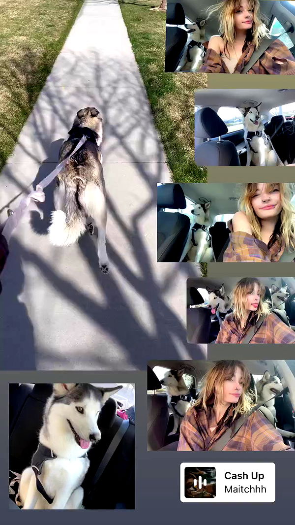 _animechika_ archive video preview